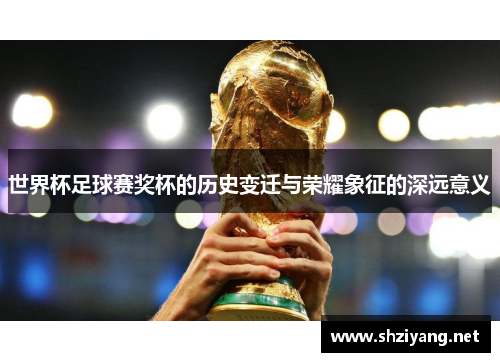 世界杯足球赛奖杯的历史变迁与荣耀象征的深远意义