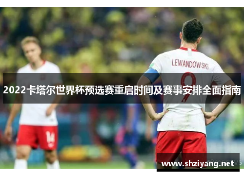 2022卡塔尔世界杯预选赛重启时间及赛事安排全面指南