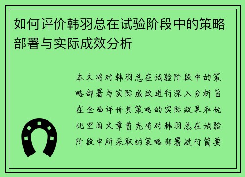 如何评价韩羽总在试验阶段中的策略部署与实际成效分析