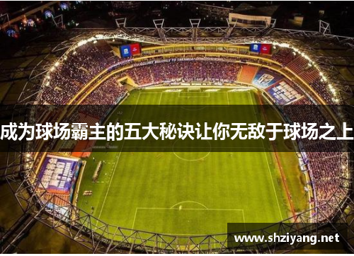 成为球场霸主的五大秘诀让你无敌于球场之上