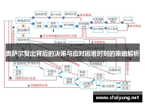 奥萨尔复出背后的决策与应对困难时刻的策略解析